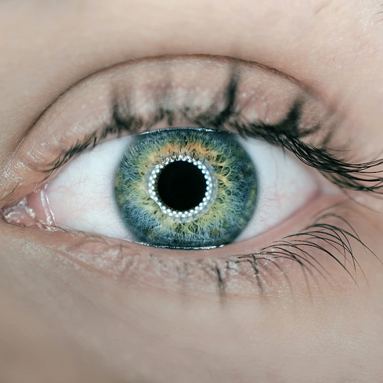 Comprendre la formation ikigai pour une éducation épanouissante