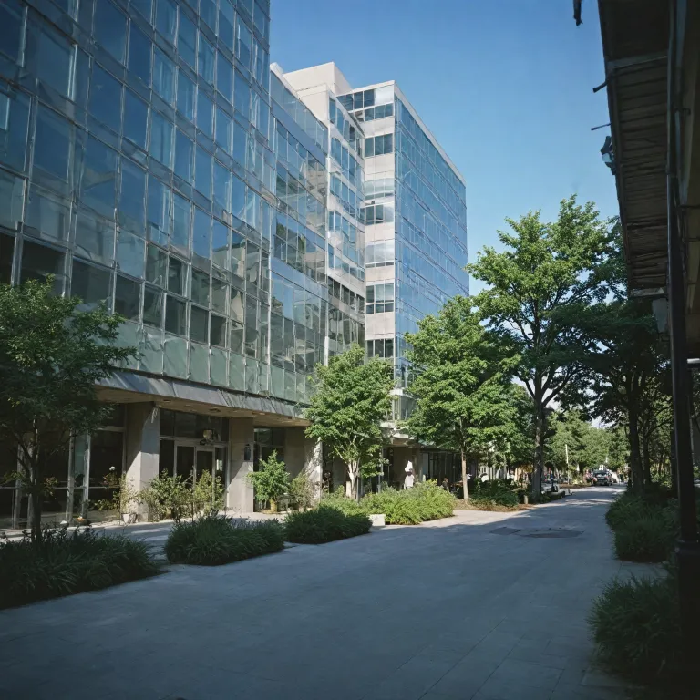 Comprendre l’émergence d’une nouvelle société urbaine : guide pour réussir l’évaluation de 5ème (PDF)